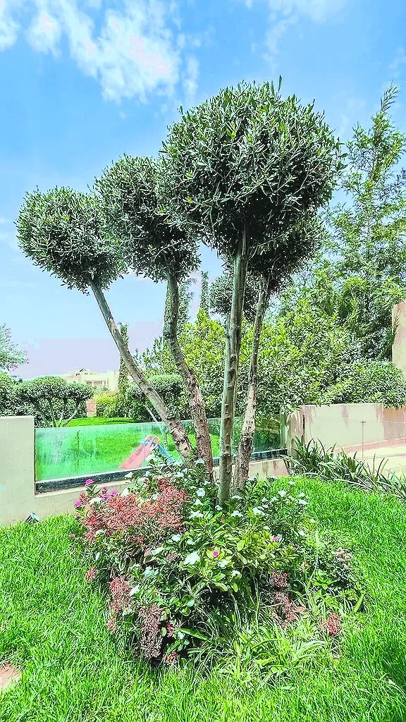 Splendide villa a vendre golf argan marrakech - Photo 9