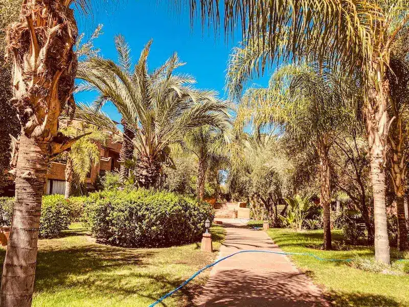 Appartement F2 avec terrasse à vendre Al Qantara - Photo 17