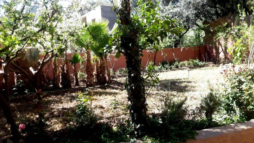 Location gérance Riad d'hôtes à l'Ourika - Photo 11