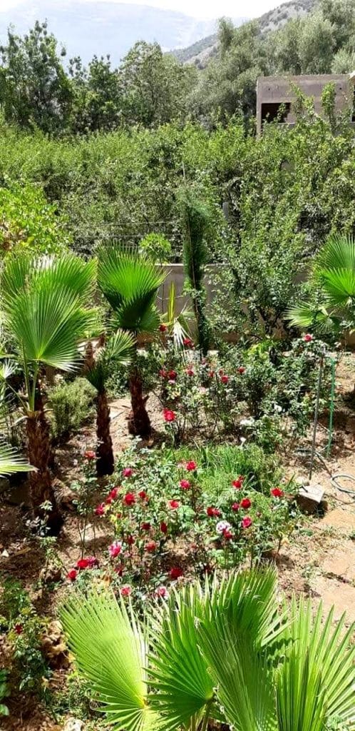 Location gérance Riad d'hôtes à l'Ourika - Photo 9