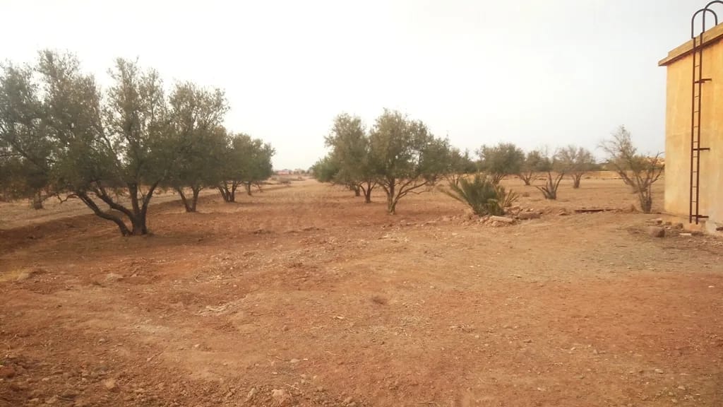 Lot de terrain à vendre zone villa de 2500 m² proche école américaine Marrakech - Photo 3