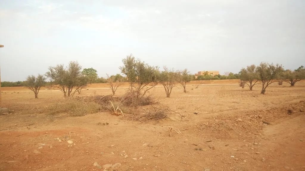 Lot de terrain à vendre zone villa de 2500 m² proche école américaine Marrakech - Photo 4