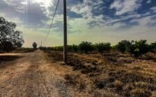 Ferme de 26 hectares à vendre à Marrakech - Photo 12