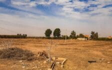 Ferme de 26 hectares à vendre à Marrakech - Photo 14
