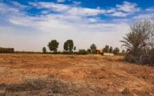 Ferme de 26 hectares à vendre à Marrakech - Photo 18
