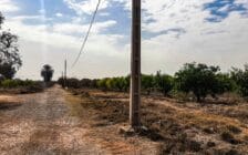 Ferme de 26 hectares à vendre à Marrakech - Photo 21