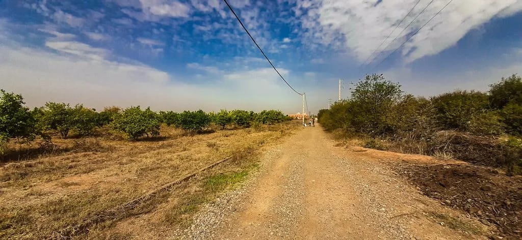 Ferme de 26 hectares à vendre à Marrakech - Photo 3