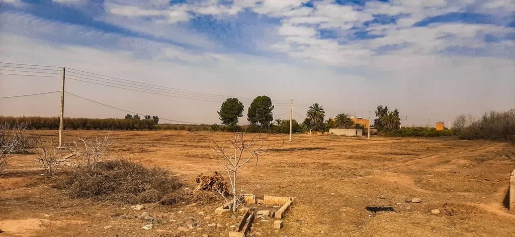 Ferme de 26 hectares à vendre à Marrakech - Photo 4