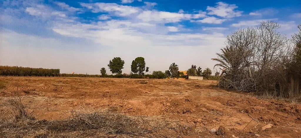 Ferme de 26 hectares à vendre à Marrakech - Photo 8