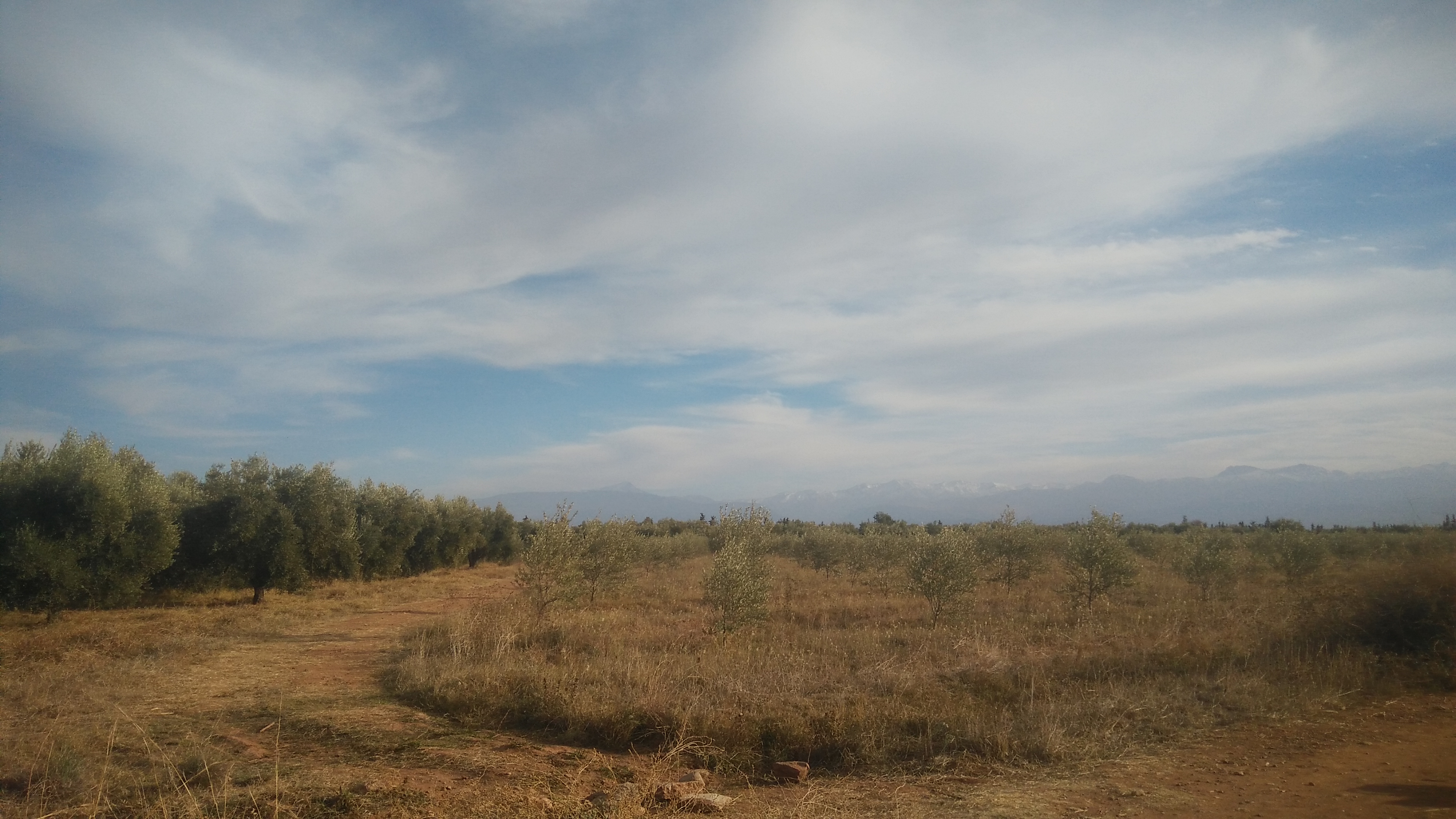 12 hectares à vendre SD1 route d'ourika. - Photo 5