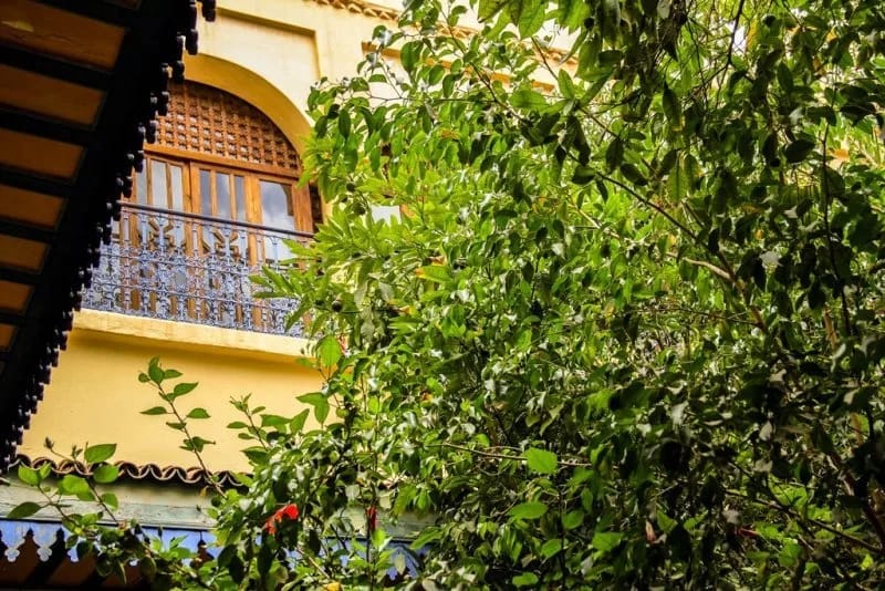 Riad à rénover à vendre Bab Doukkala - Photo 4