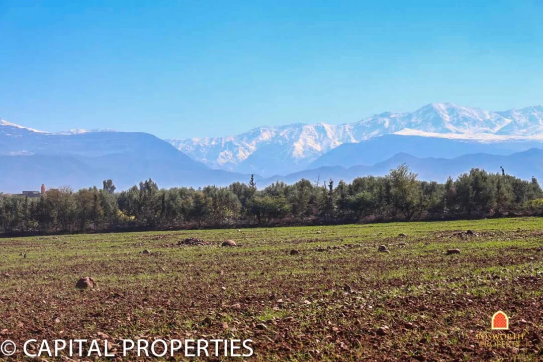 Terrain SD1 a vendre route ourika - Photo 4
