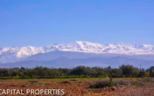 Terrain SD1 a vendre route ourika - Photo 6