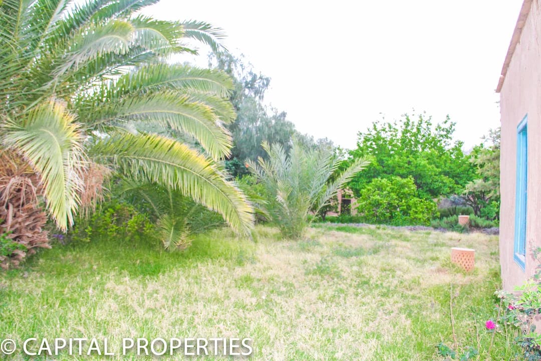 Location gérance maison d’hôtes Amezmiz - Photo 19