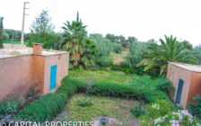 Location gérance maison d’hôtes Amezmiz - Photo 49