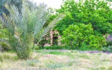 Location gérance maison d’hôtes Amezmiz - Photo 63