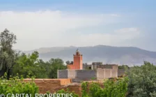 Location gérance maison d’hôtes Amezmiz - Photo 64